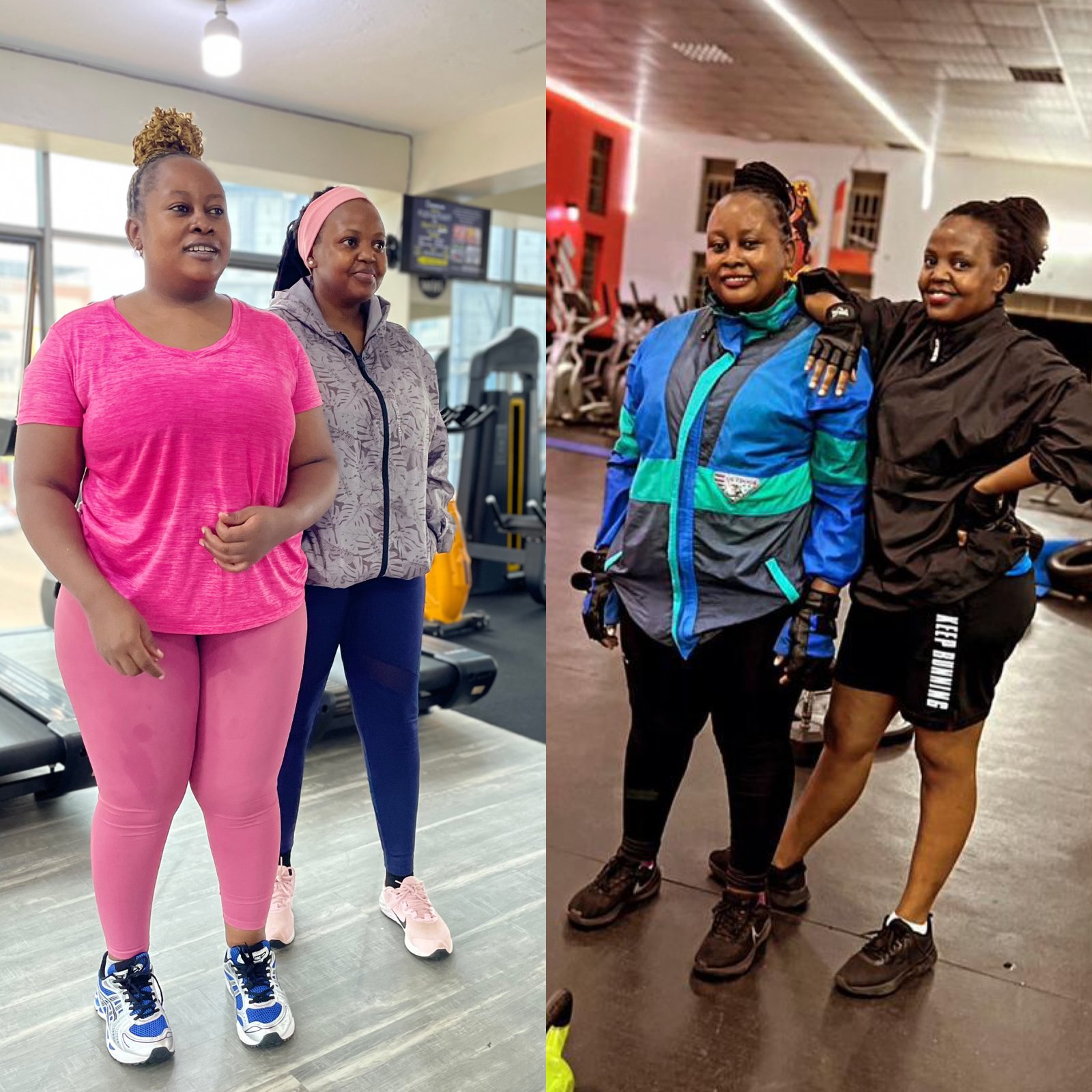 Sandra transformation progress